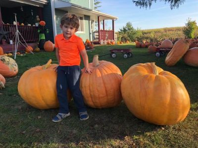 Giant Pumpkins are a fall favorite!